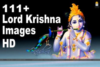 Lord Krishna Images