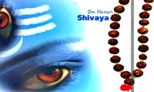 Shiva